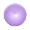 Фітбол укріплений LivePro ANTI-BURST CORE-FIT EXE, фіолетовий