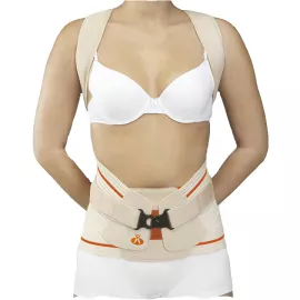 Модуль для грудо-поясничного отдела к корсету Orliman Evotec, полужесткий