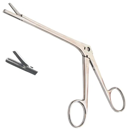 Конхотом с щелевидным отверстием №1 Struycken. Длина 19 см, р. 15 х 1 мм