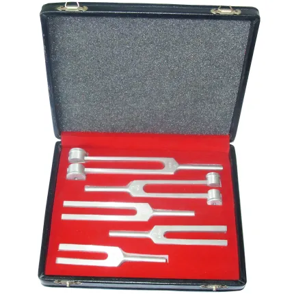 Набір з 5 камертонів для дослідження слуху 128г, 256г, 512, 1024, 2048 Гц