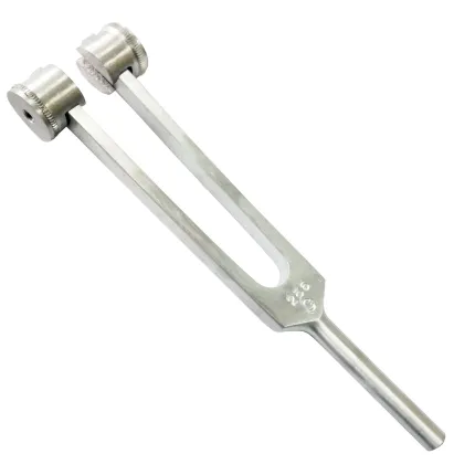 Камертон із вантажками частота 256 Гц