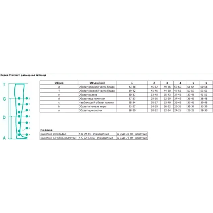 Панчохи компресійні 2 клас компресії Pani Teresa PT 0462 PREMIUM, Розмір: 1, Колір компресійного виробу: Бежевий, Довжина: Короткі, Носок: Відкритий, зображення 3