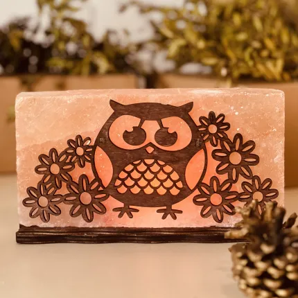 Соляна лампа “Сова з квіточками” 2 кг (20*10*5см)