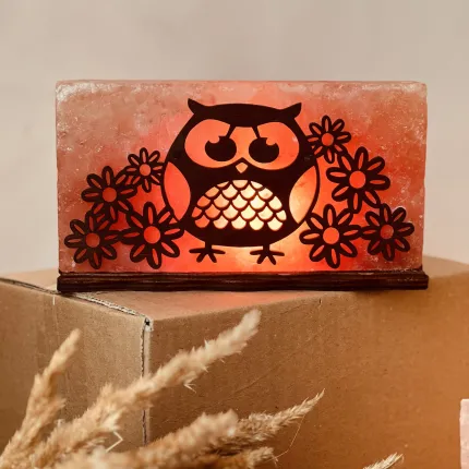 Соляна лампа “Сова з квіточками” 2 кг (20*10*5см), зображення 3