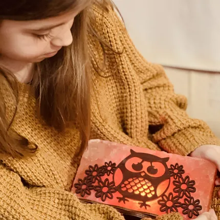 Соляная лампа “Сова с цветочками” 2 кг (20*10*5см), изображение 4