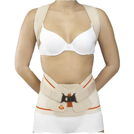 Модуль для грудо-поперекового відділу до корсету Orliman Evotec, напівтвердий