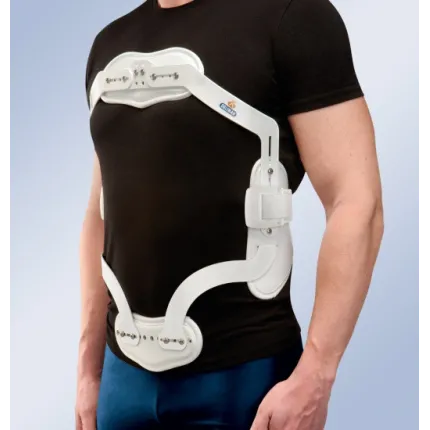 Корректирующая рамка JEWETT с лобковым фиксатором Orliman J003