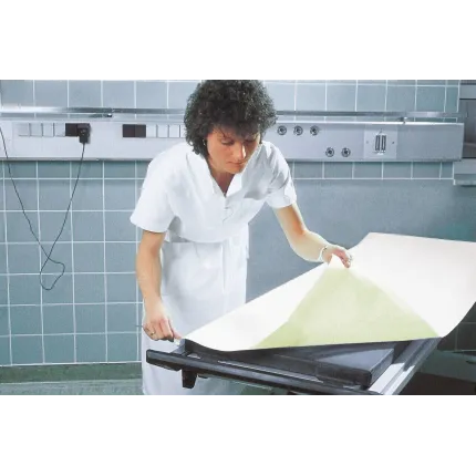 Захисне простирадло одноразове Vala®Protect basic 80x175см 1шт, зображення 2